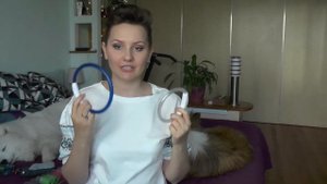 Амуниция для собак | Шелти и Cамоед