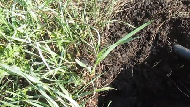 Поиск монет на Старой дороге. Выпуск N 2