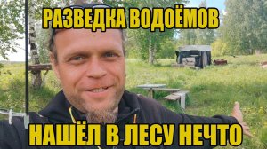 Разведка водоемов. Бобры, головастики и то, что меня поразило!