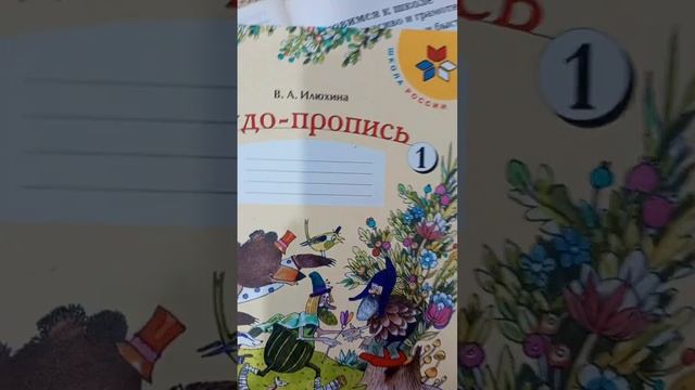Ребенок левша.Прописи для левшей.