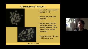 Steven Dodsworth - The recent radiation of Nicotiana section Suaveolentes in Australia