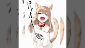 Немного Кинако не помешает. Неко всегда милые?