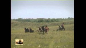 Растеряев. В степи веселей