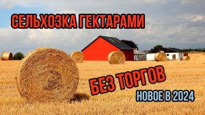Оформляем сельхозку гектарами без торгов за копейки| ЛПХ и КФХ | Новое в законодательстве 2024
