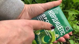 КАК БОРОТЬСЯ с ПРОВОЛОЧНИКОМ в огороде. Кордицепс уникальный препарат, применение