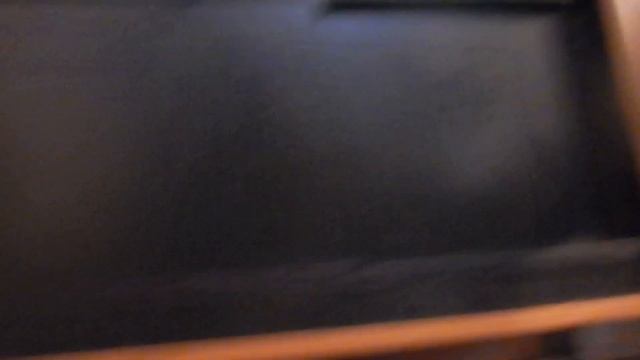 Котята 3- я неделя. Первая прогулка смотреть онлайн