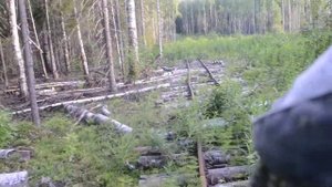 Закончилась УЖД. Удима.