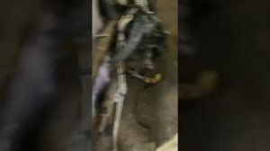 Горит поворотники и не работают стеклоочистители ваз 2110-12