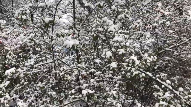 это было в том году смотреть онлайн