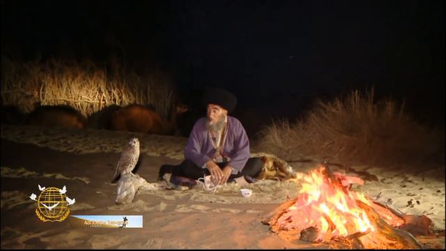 Соколиная охота туркмен.Turkmen falconry