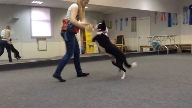 Ая,остановка из движения-лежать смотреть онлайн