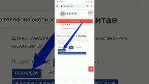 Приложение "95": как заполнить адрес доставки