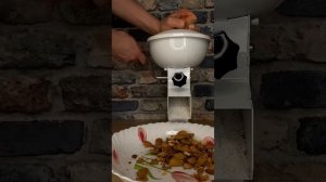 ? Орехокол для фундука, миндаля, грецкого ореха и абрикосовых косточек