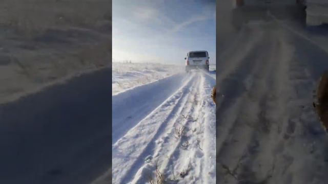 Новогодние забавы (когда нечего делать дома) смотреть онлайн