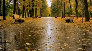 В.  Захаров и гр ''Рок острова  -  Костры (Авт. ролика Виктор)