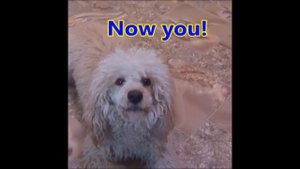 Do does song I do you do he she it does Supper grammar drill Personal pronouns and Verb conjugation