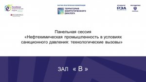 Панельная сессия «Нефтехимическая промышленность в условиях санкционного давления: технологические в