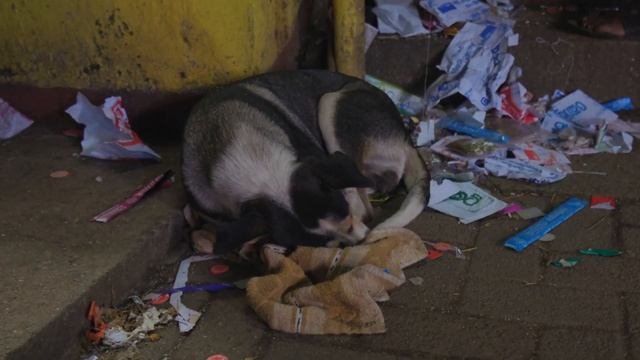В ПОГОНЕ за РАССВЕТОМ. Ночное восхождение на ПИК АДАМА, Шри Ланка. смотреть онлайн