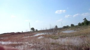 Добыча УРАНА  в Шумихинском районе  Курганской области. Шумихинцы против  такой добычи УРАНА!