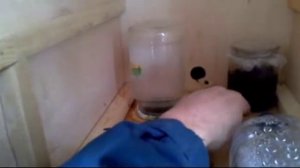 Весенняя подкормка пчел (2) Как накормить пчел земляничным вареньем