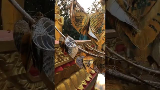 Храм Будды в Паттайя смотреть онлайн