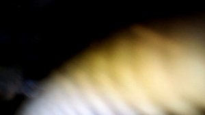 Потёк бензонасос змз 402