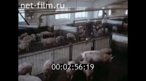 1983г. Волгодонск. опытно- экспериментальный завод. Ростовская обл