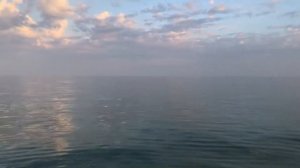 Приморск Пляж База отдыха Прибой Азовское море песчаный чистый пляж