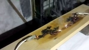 Молния Лихтенберга