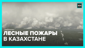 В Казахстане горит более 43 000 Га леса