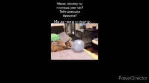 Смешные видео со шлёпой тт (часть 2)