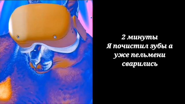 Сколько времени ты сварил пельмени: смотреть онлайн