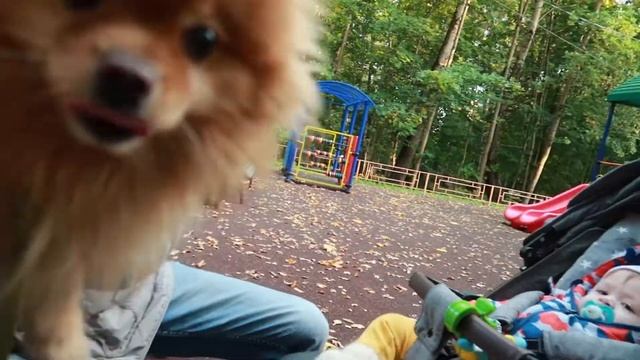 НЕ МОЖЕМ ВЫЕХАТЬ ИЗ ДЕРЕВНИ, ЗАКАЖЕМ БАНЮ НА КОЛЕСАХ) VLOG 27.09.2020 смотреть онлайн