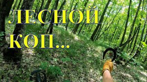 Лесной коп с металлоискателем Тёрка 705 продолжается!!
