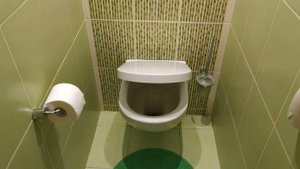 Сиденье для унитаза Gustavsberg Artic с микролифтом (плавное закрывание)