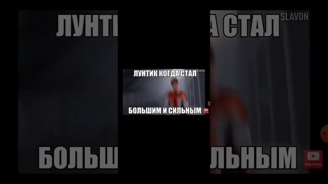 смотрю все самые смешные видео pytp смотреть онлайн