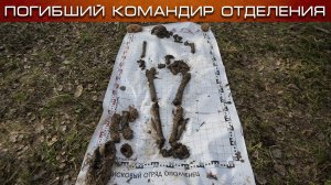 Полевые новости #1 | Разведчик | Командир отделения | EE88