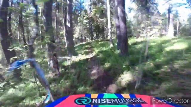 Пролог "Шустрая белка" 2021 смотреть онлайн