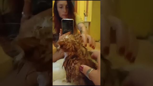 5 января 2024 г. смотреть онлайн