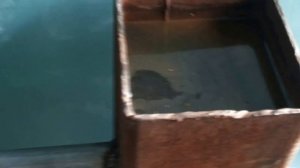 Самодельное отопление