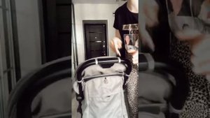 Коляска прогулочная Hartan Bit