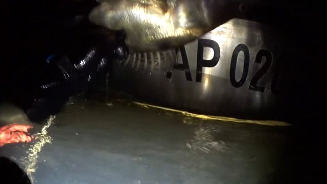 Все темные дела делаются ночью. Подводная охота весна 2020 смотреть онлайн