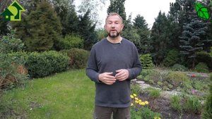 Посейте ТАК МОРКОВЬ и она вырастет ДАЖЕ В ГЛИНЕ! Посев моркови с апреля по июнь с большим урожаем!