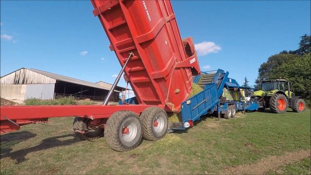 Ensilage de sorgho 2019 ! New Holland | CASE IH | GÖWEIL