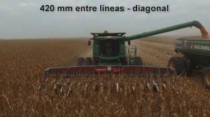 Безрядковая жатка для уборки кукурузы MAINERO MDD200 3