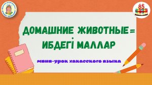 Мини-урок. Домашние животные = Ибдегi маллар.mp4