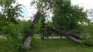 В Курганской области борются с последствиями ураганного ветра (2022-06-08)