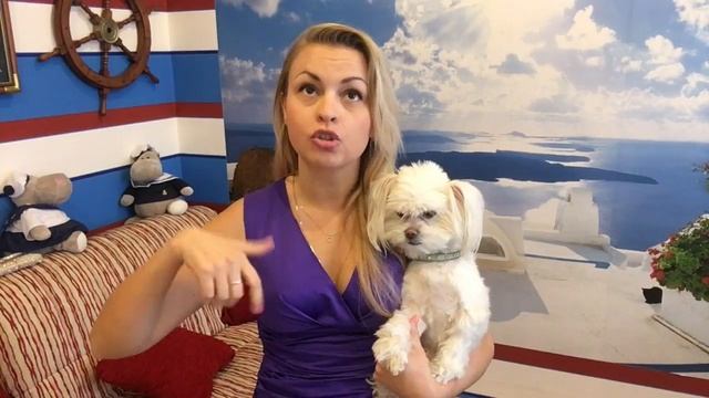 САМОЕ ОРИГИНАЛЬНОЕ ПРЕДЛОЖЕНИЕ РУКИ И СЕРДЦА! смотреть онлайн