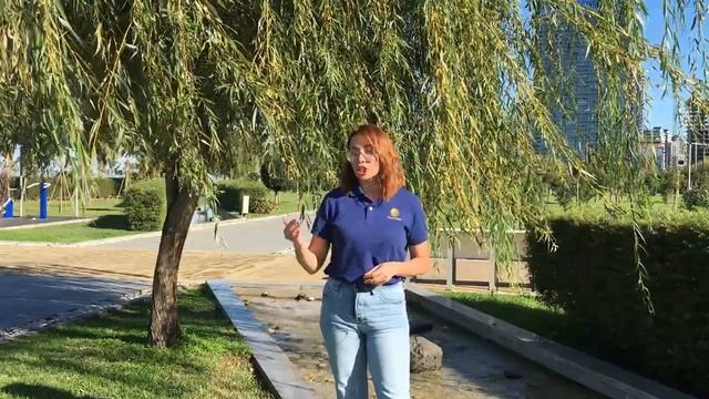 ЗАГРАНИЧНЫЙ ПАСПОРТ В ГРУЗИИ. КАК ПОЛУЧИТЬ ЗАГРАНИЧНЫЙ ПАСПОРТ НЕ ВЫЕЗЖАЯ ИЗ ГРУЗИИ??? смотреть онлайн