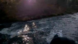 Водомет Карась скорость против течения